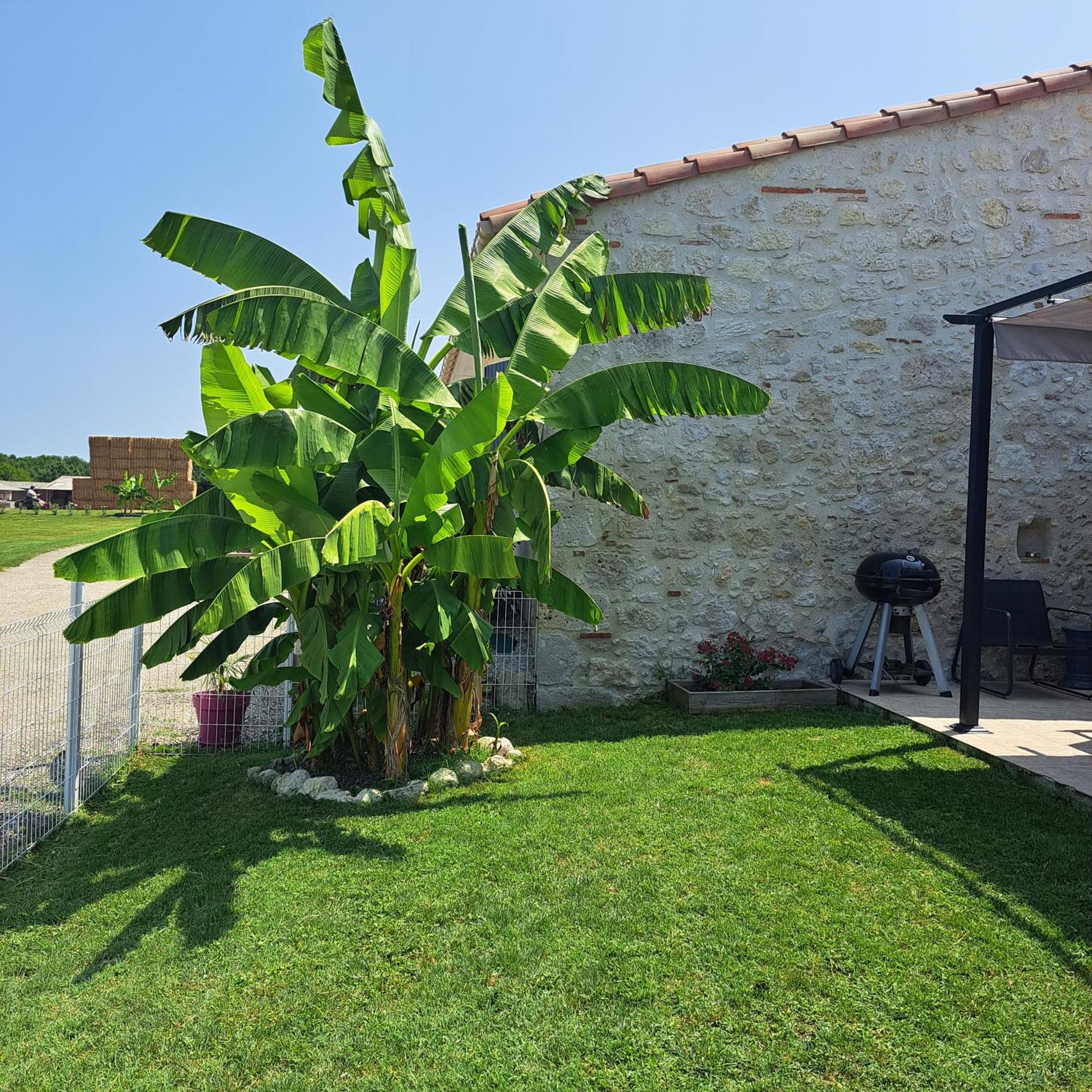 فيلا Le Domaine Vesque Saint-Pierre-de-Clairac المظهر الخارجي الصورة