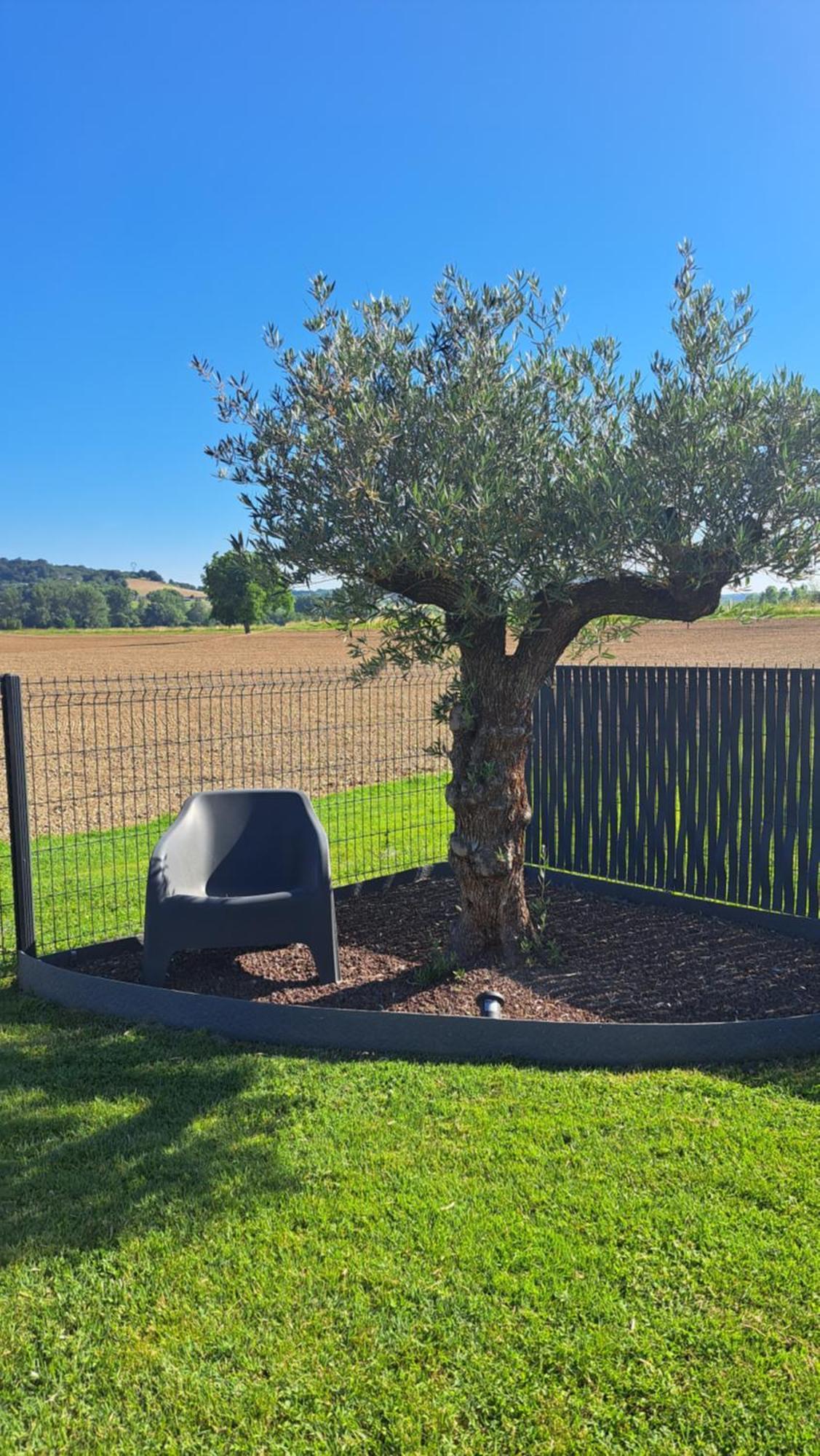 فيلا Le Domaine Vesque Saint-Pierre-de-Clairac المظهر الخارجي الصورة